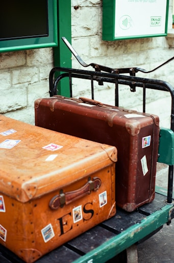 إرشاد الباصات